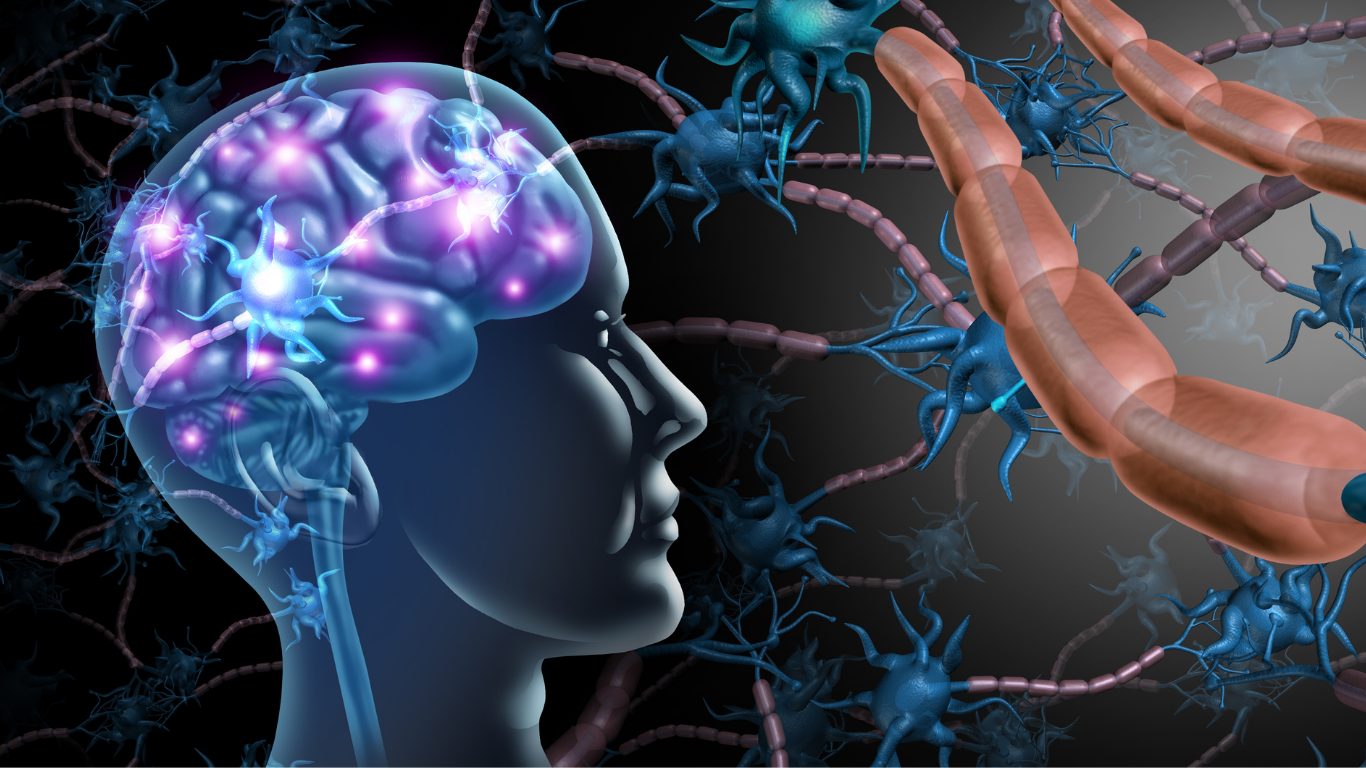 image of the vagus nerve