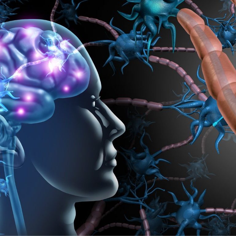 image of the vagus nerve